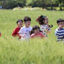 우리들세상 Daum카페