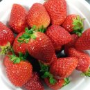 도경농장 이미지