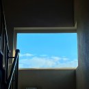 다래간주 이미지