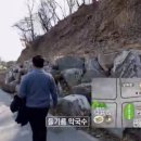 오뚝이 장터