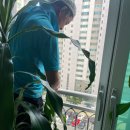 봉영로1744번길 이미지