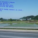 2011년 금산으로 야유회 1 이미지