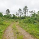 조수초등학교 이미지