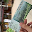 우리나라에서 가장 유명한 녹차밭을 가보자! &#34;보성 녹차밭 대한다원&#34;