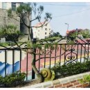 창의나라 유치원 이미지