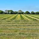 하남시청 본관 4층 이미지