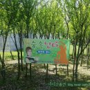 아미산숲센터 이미지