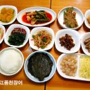 남강장어 이미지