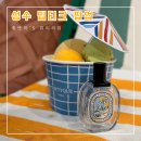 [성수 딥디크 팝업] 8월 성수 팝업스토어