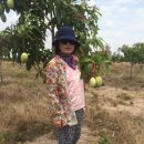 손종순농장 이미지