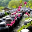 삼천리창호