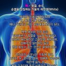 오장육부 이미지