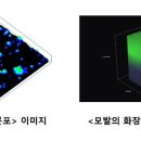 화장품센타 - 익산시 중앙로3길 16 | 화장품센타