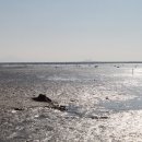 갯벌소리 이미지