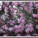 봉서2리 이미지