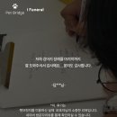 반려동물문화반 | 경기 인천 서울 반려동물 장례식장 후기 - 펫브릿지