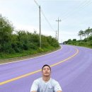 영상목장 이미지