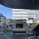 부산통닭 이미지
