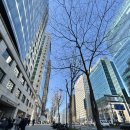 테헤란로 이미지