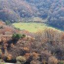 선 목장 이미지