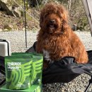 퍼피데일리 | 메디퍼피 근육 소프트 사료 관절 슬개골도 한 번에 관리해요