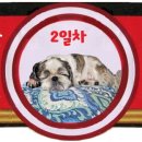 순천시청소년수련원야영장 이미지