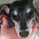 프란다스동물병원 이미지