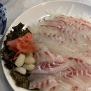 시민로 | [논산 맛집] 도미회와 가성비 매운탕 영식이네수산 내돈내산 후기