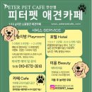 피터펫 카페 안산점 이미지