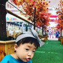 (주)베오베 이미지