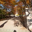 마두공원 화장실 이미지