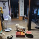 재영이네집 이미지