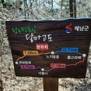 달마고도 Daum카페