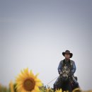 가가홀스 이미지