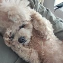 싱가폴 | 부산출발 발리 싱가폴 신혼여행 후기 입국부터 싱가폴항공 환승후기 발리도착 1일차