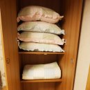 은행로86.2 | 전주 한옥마을 게스트하우스 머물고픈 은행로 86.2