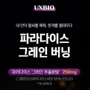 버닝 | 다이어트 보조제 고민 중이라면? 파라다이스 그레인 버닝 리얼 후기