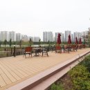 화성신도시부동산공인중개사사무소 이미지