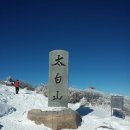 제294차 산사랑 안산평화 산악회 정기산행 안내 이미지