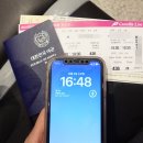 카멜리아 이미지