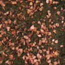 진성한의원 이미지