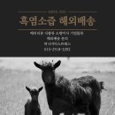 녹색흑염소(주) | 미국 육가공품 반입금지?! 흑염소즙 통관 완료 일리노이주 도착 후기!