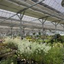 예삐마켓 이미지