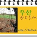 이광채농장 이미지