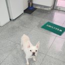 익산대로 이미지