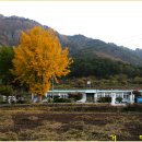 사량초등학교돈지분교장 이미지