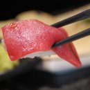 훈참치 네이버블로그