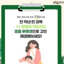 슬기로운 글쓰기 첫걸음 이미지