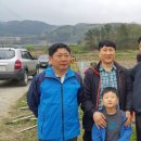 정영민농장 Daum카페