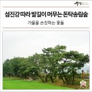 송림숲화장실 이미지